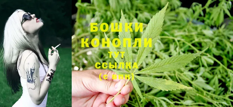 Бошки Шишки White Widow  где купить наркоту  Бирюсинск 